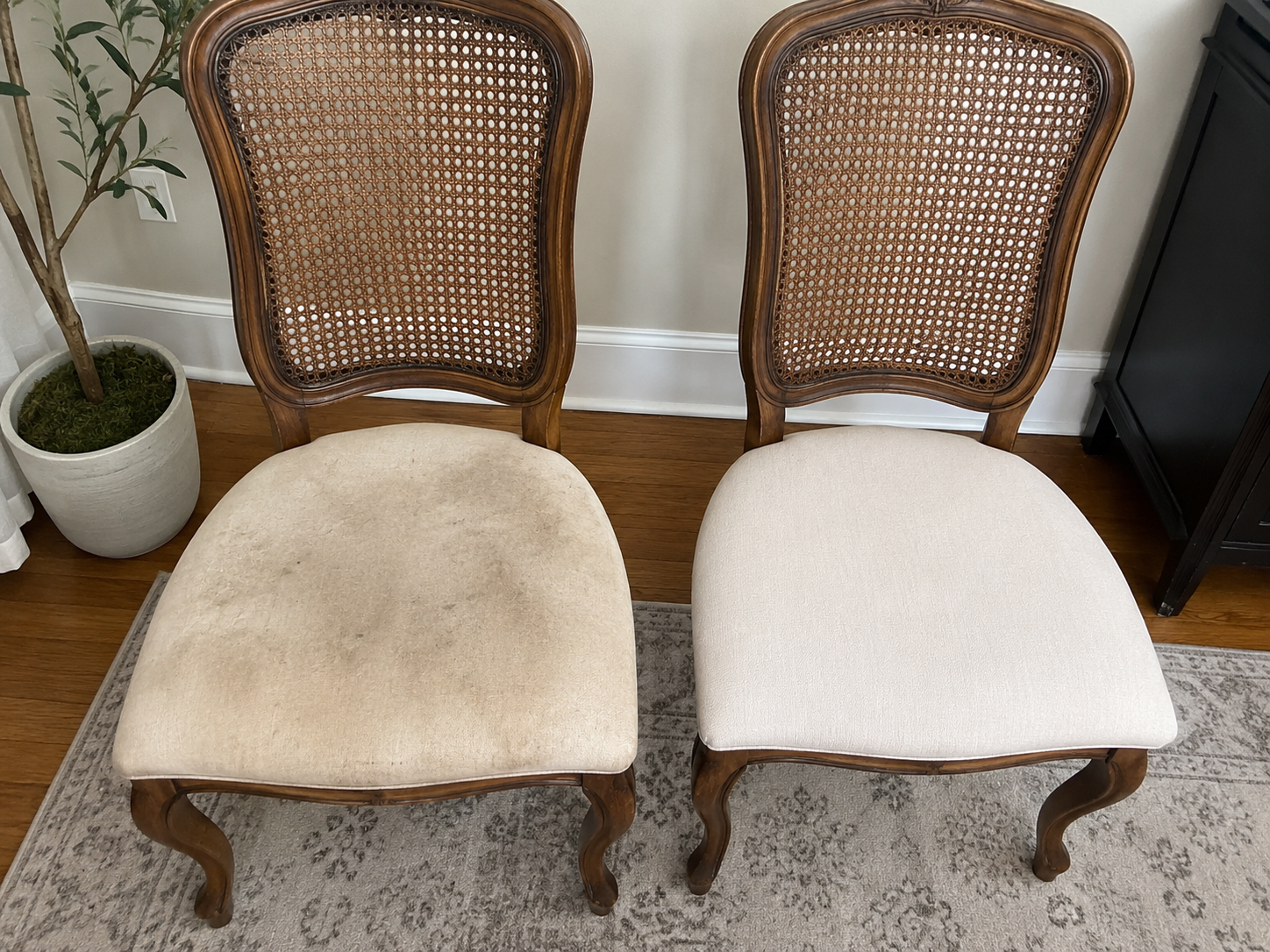Upholstered dining chair cleaning by SoftNest in Mississauga