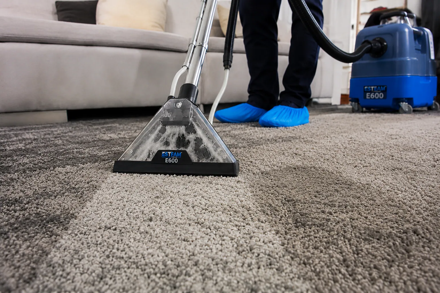 Professional carpet and area rug cleaning result